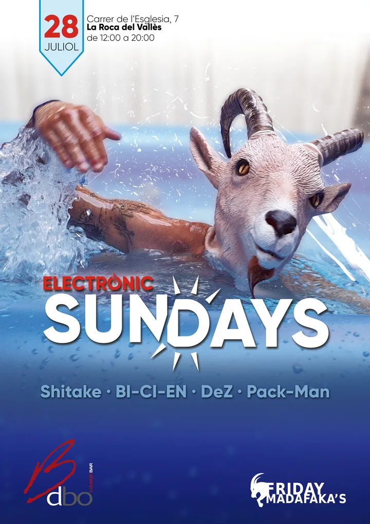 Cartell de Electronic SunDays